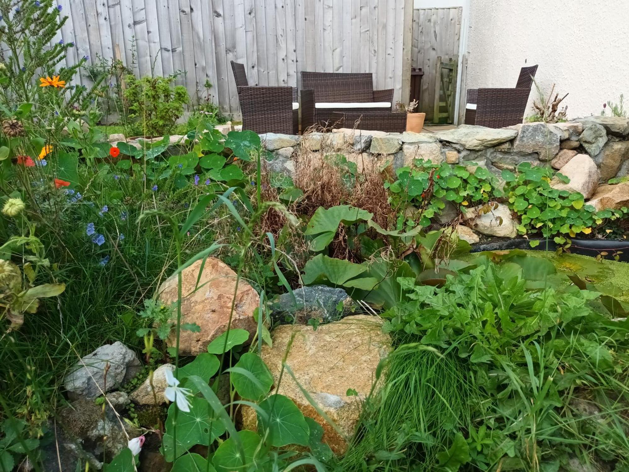 Sunrise! ~ 2 Bedrooms, Garden, Parking, Sea Views St Ives Εξωτερικό φωτογραφία